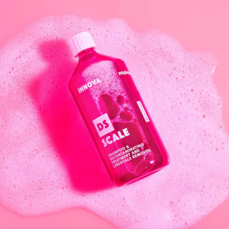 iNNOVACAR DS SCALE 2-IN-1 SHAMPOO